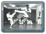 Ron Taplin side jump kick